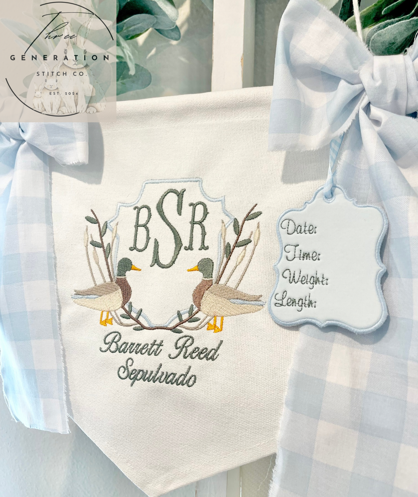 Baby Boy Mallard Banner