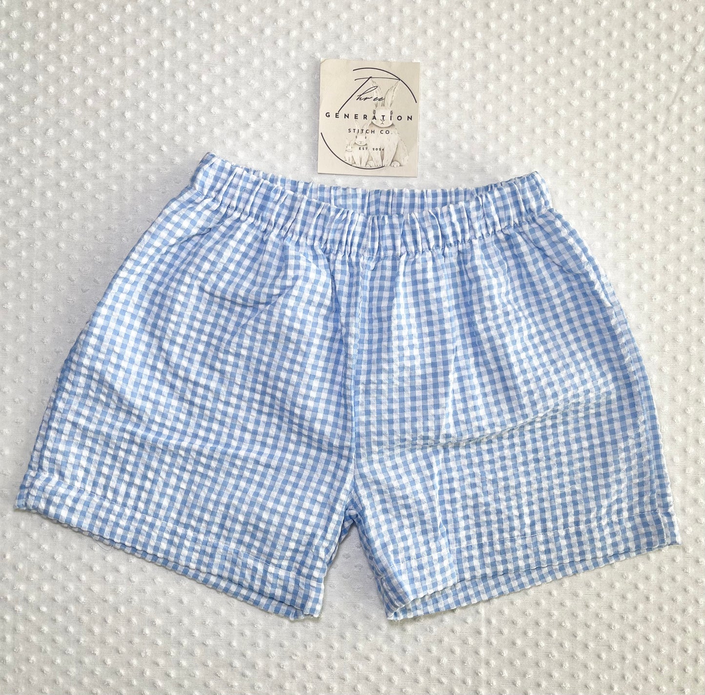 Blue Gingham Shorts