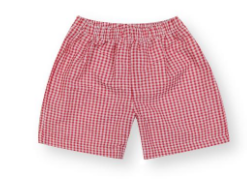 Red Gingham Shorts