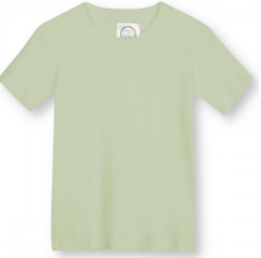 Sage T-shirt